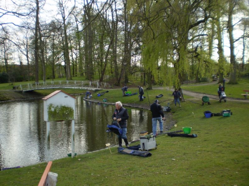 overzicht grote vijver